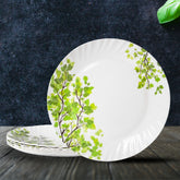 Everwell Dinner Plate Set – 6 Pcs